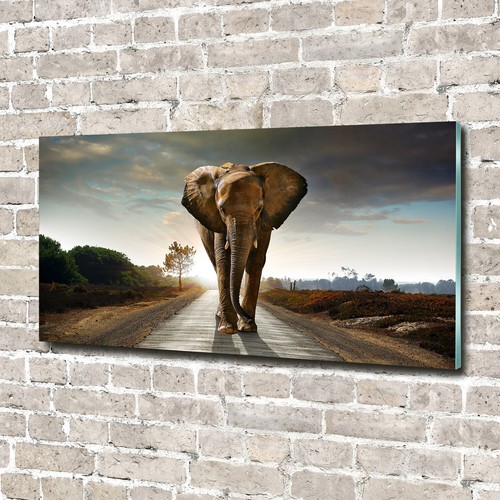 Tulup glass acrylic print wall - tulup,