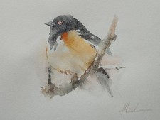 Red Robin, Birds, Watercolor