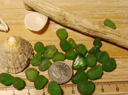 Small pieces green sea - 20,