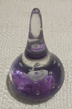 Crystal Clear “Fittonia”