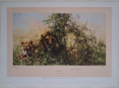 David shepherd cool - david, "cool