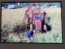 Same Tractor Working in Field