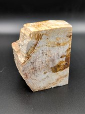 Petrified Wood Specimen 350g