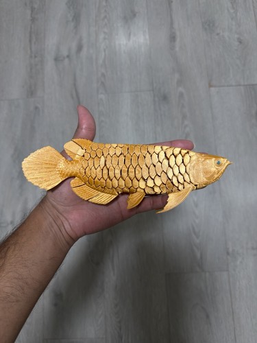 Arowana fish printed - fish,