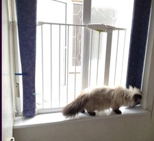 Lindam Pet/Pet gate with 7cm & 28 cm extensions for window. Working Faulty lock