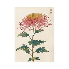 Japanese Ukiyo-e Art Print
