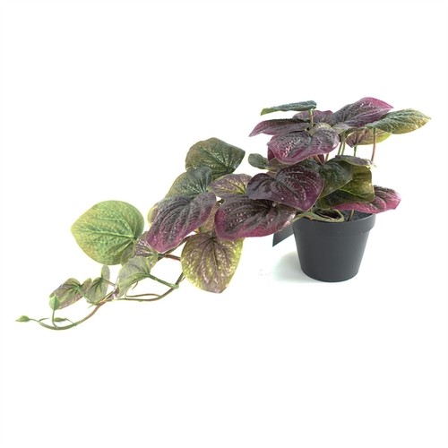 Artificial trailing purple - artificial,