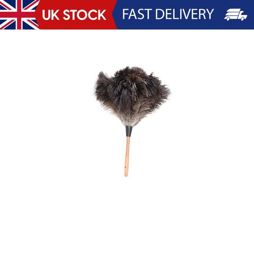 Premium genuine ostrich - premium,