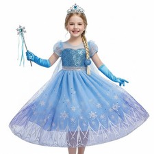 Girls Elsa Fancy Dress Costume