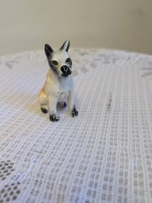 Miniature Porcelain Bull Dog