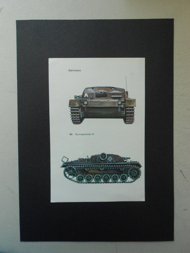 Vintage military print - vintage, print-