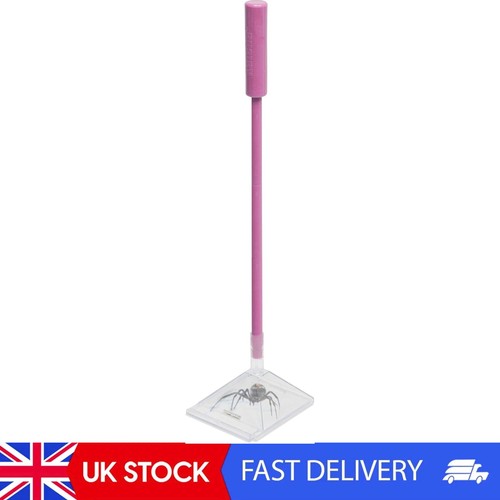 Bug spider catcher - bug,