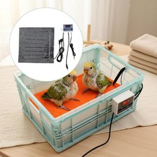 Bird Brooder Box Chicken