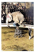 ptc7309 - Lancs - Early view