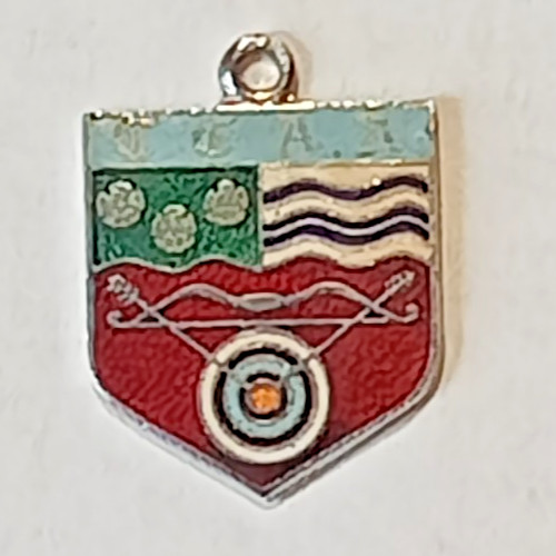 Archery vintage medal ttaa - vintage,