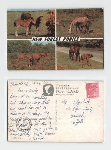 Postcard new forest - postcard,