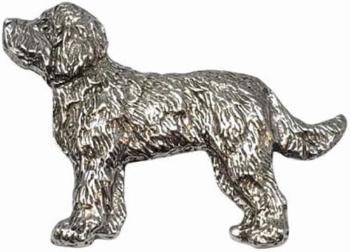 Labradoodle dog harris fine - harris,