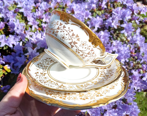 Coalport consort gold - "consort, gold"