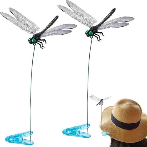 Simulation dragonfly - 2x,
