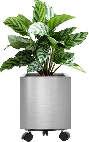 25cm stainless steel square - stainless,