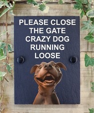 Staffordshire Bull Terrier