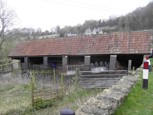 Photo the sloping cow shed - sloping,