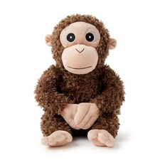 Hanging monkey orangutan - monkey,