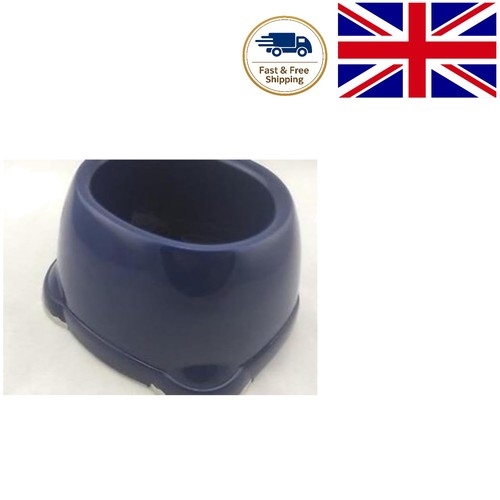 Blueberry dog bowl - bowl,