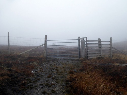 Photo 6x4 deer fence the - photo,