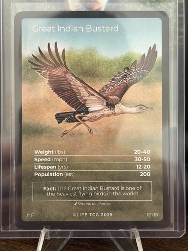 Life tcg birds - life,