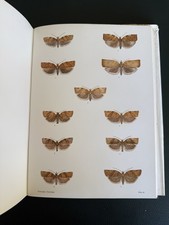 British Tortricoid Moths Vol
