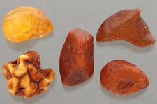 Lot of 5 BALTIC AMBER Natural