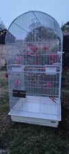 bird cage used parrot white + toys and feeding baskets