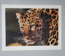 Carl Brenders East of the Sun