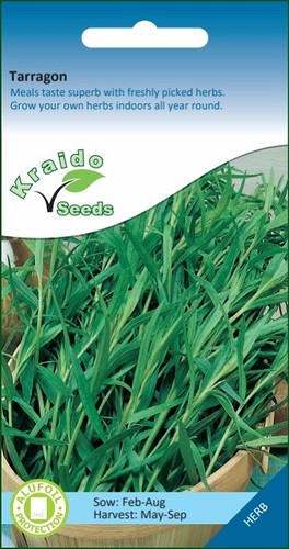 Tarragon seeds artemisia - seeds,