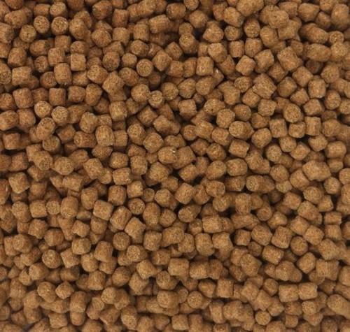 Skretting sinking coarse carp - skretting,