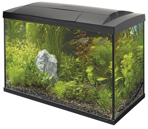 Superfish start complete - superfish,