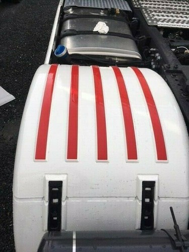 Scania mud guard strips - mud,