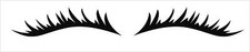 Car Headlight Eyelashes Car
