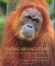 Among orangutans red apes - among, –