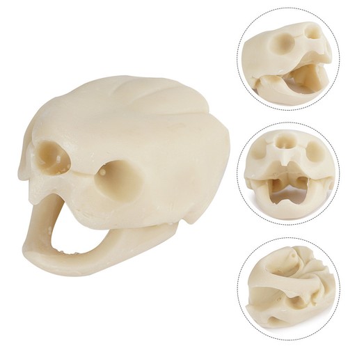Fish tank ornaments - tank,