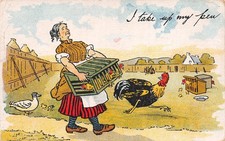 POSTCARD   COMIC WRITE AWAY  I TAKE UP MY PEN LADY  CHICKENS DUCKS