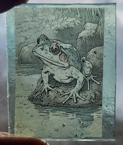 Stained glass frog piece - stained,