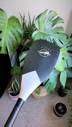 Beautiful full carbon paddles - beautiful,