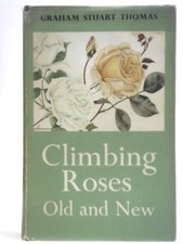 Climbing Roses Old and New