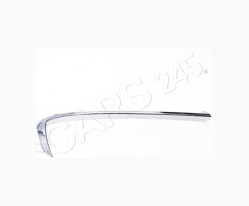 Bumper moulding right fits - bumper,