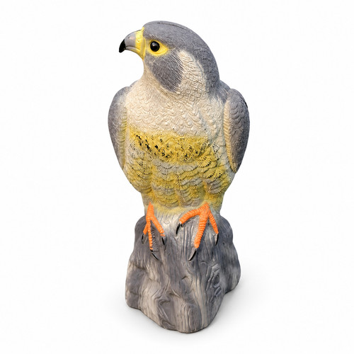 Hawk decoy bird scarer - decoy,