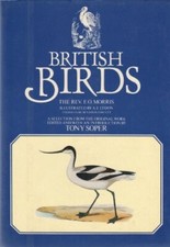 British Birds By Francis Orpen