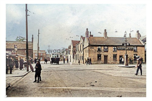 Ptc5404 yorks early view - -,