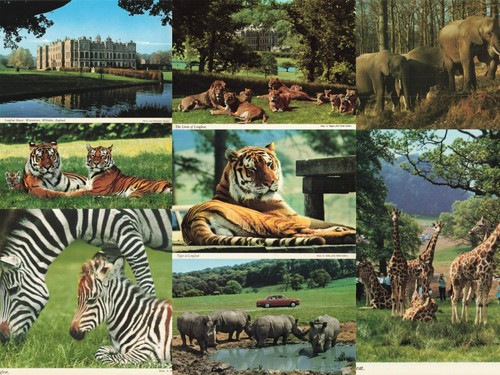 Vintage longleat safari - longleat,